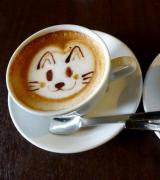 สวัสดีตอนเช้า.  กาแฟ.  กาแฟบนเตียง: ภาพกาแฟสักแก้วตอนเช้าบนเตียง สวัสดีตอนเช้ากับกาแฟสำหรับผู้ชาย
