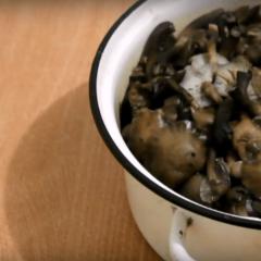 Honingpaddestoelen marineren - recepten voor de winter Laten we beginnen met het bereiden van de marinade
