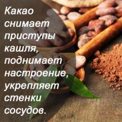 Cocoa: How to Reduce Calories in One Cup