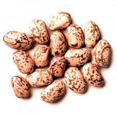 Jaké jsou výhody fazolí?Je možné jíst fazolové listy?
